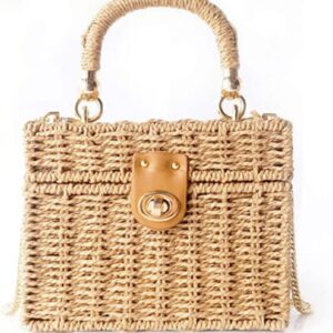 Handwoven Rattan vintage purse Bag Natural Chic Casual Handbag Beach Sea tote Basket Straw vacation Bag (Brown)